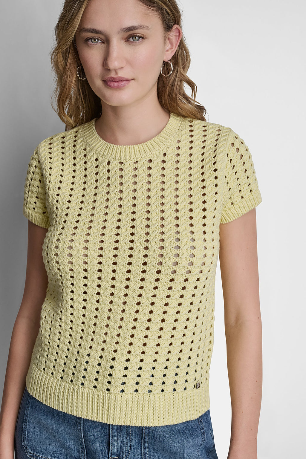 CHUNKY POINTELLE SHORT SLEEVE SWEATER