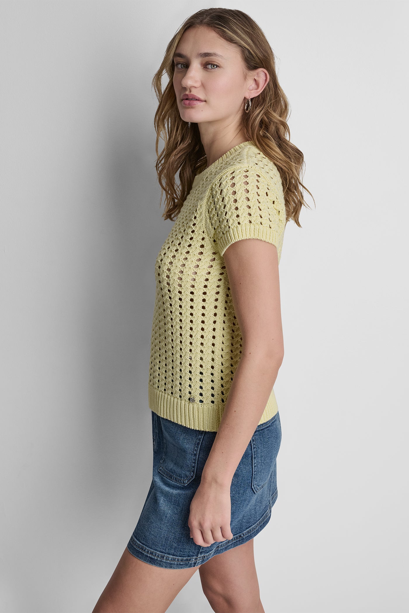 CHUNKY POINTELLE SHORT SLEEVE SWEATER